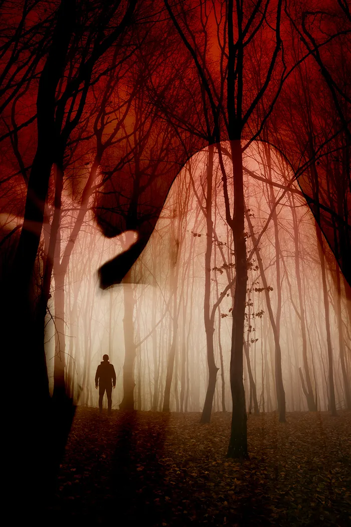 Cover of Ghost Wood